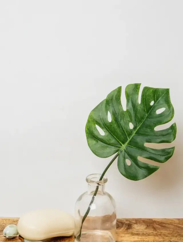 Sustainable green building materials.